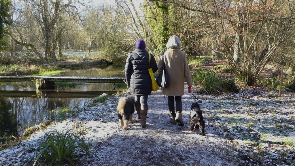 Winter walk at Welford Park